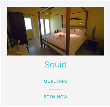 jamaica, negril, st.elizabeth, boutique, pelicans, scuba, ys falls, budget, destination, weddings